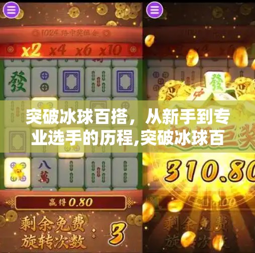 突破冰球百搭，从新手到专业选手的历程,突破冰球百搭