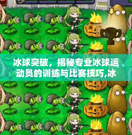冰球突破，揭秘专业冰球运动员的训练与比赛技巧,冰球突破网站入口下载