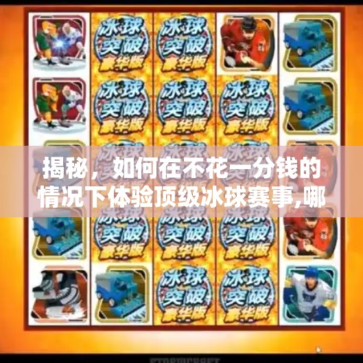 揭秘，如何在不花一分钱的情况下体验顶级冰球赛事,哪有免费试玩冰球突破