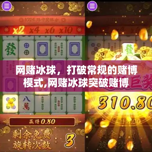 网赌冰球，打破常规的赌博模式,网赌冰球突破赌博