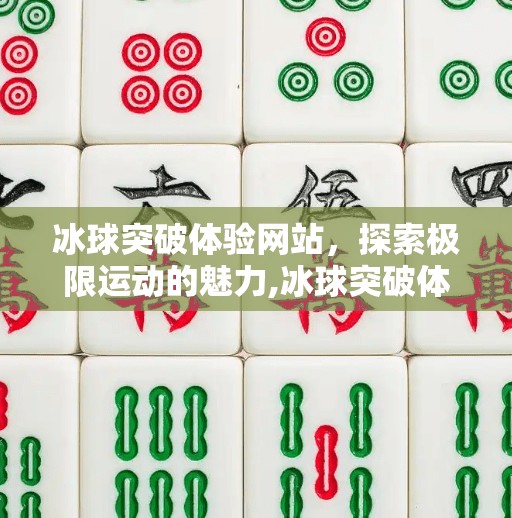 冰球突破体验网站，探索极限运动的魅力,冰球突破体验网站是什么