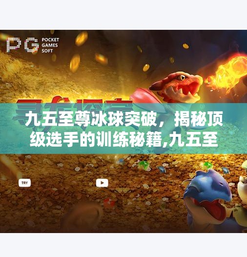 九五至尊冰球突破，揭秘顶级选手的训练秘籍,九五至尊冰球突破下载