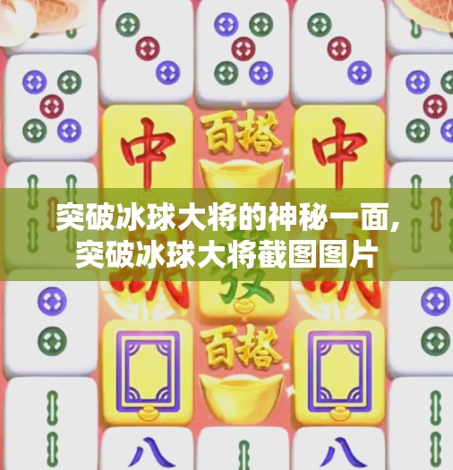 突破冰球大将的神秘一面,突破冰球大将截图图片