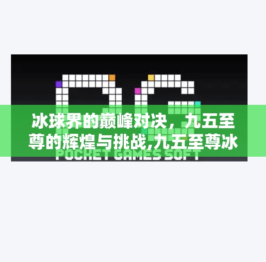 冰球界的巅峰对决，九五至尊的辉煌与挑战,九五至尊冰球突破输钱