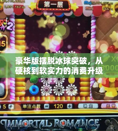 豪华版摆脱冰球突破，从硬核到软实力的消费升级新范式,豪华版摆脱冰球突破