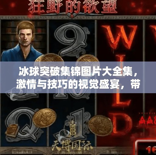 冰球突破集锦图片大全集，激情与技巧的视觉盛宴，带你领略冰上运动的魅力！冰球突破集锦图片大全集
