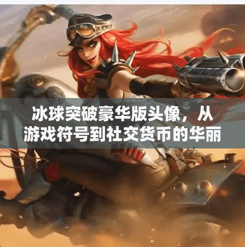 冰球突破豪华版头像，从游戏符号到社交货币的华丽转身,冰球突破豪华版头像