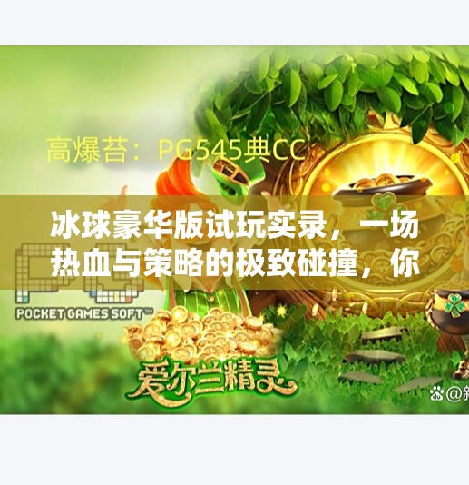 冰球豪华版试玩实录，一场热血与策略的极致碰撞，你准备好迎接这场冰上风暴了吗？突破冰球豪华版试玩
