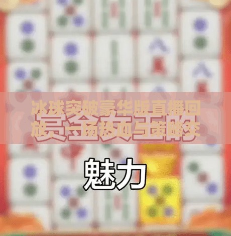 冰球突破豪华版直播回放，一场热血与策略交织的体育盛宴,冰球突破豪华版直播回放