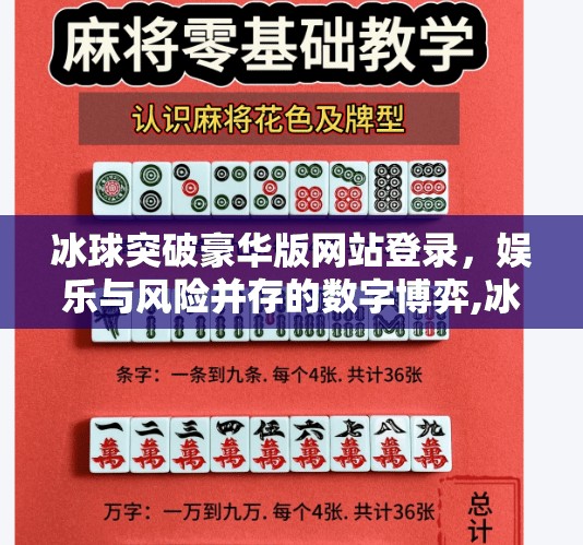 冰球突破豪华版网站登录，娱乐与风险并存的数字博弈,冰球突破豪华版网站登录