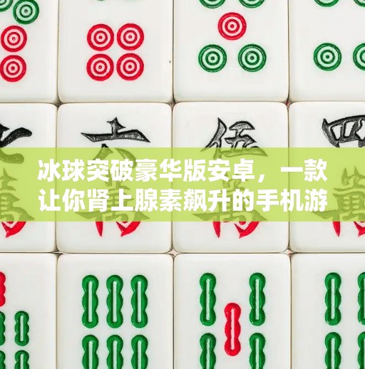 冰球突破豪华版安卓，一款让你肾上腺素飙升的手机游戏，到底值不值得下载？冰球突破豪华版安卓