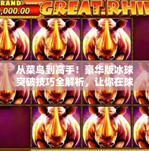 从菜鸟到高手!豪华版冰球突破技巧全解析,让你在球场上如鱼得水!豪华版冰球突破技巧教学 从菜鸟到高手!豪华版冰球突破技巧全解析,让你在球场上如鱼得水!豪华版冰球突破技巧教学